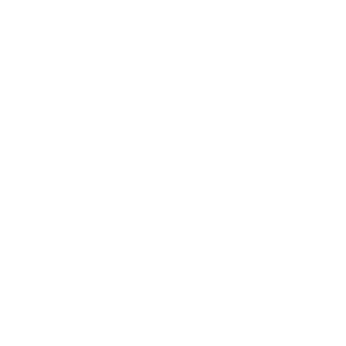 Les Echos hiplicolis